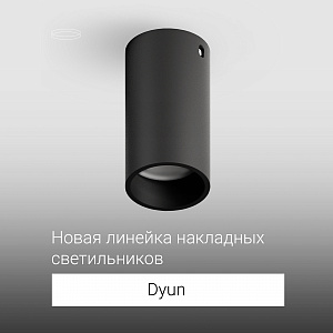 Накладной светильник Dyun